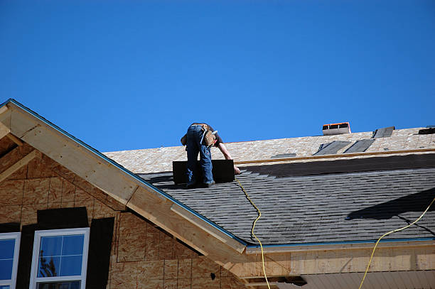 Best Roof Moss and Algae Removal  in Lufkin, TX