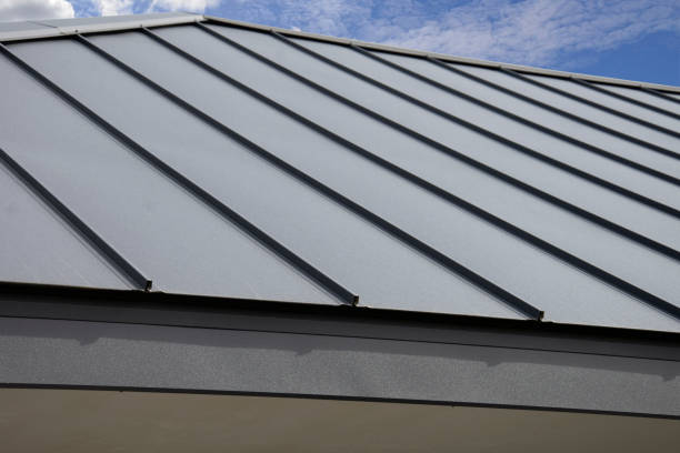 Best Skylight Installation and Repair  in Lufkin, TX